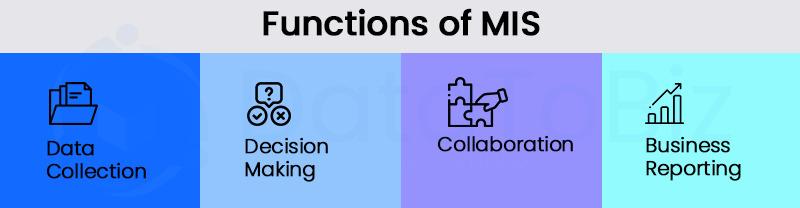 Functions of MIS