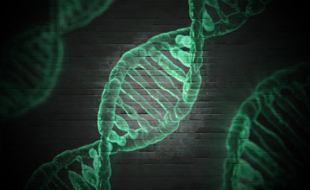 ML in Medicine: Complete Transformation of Medical Industry
