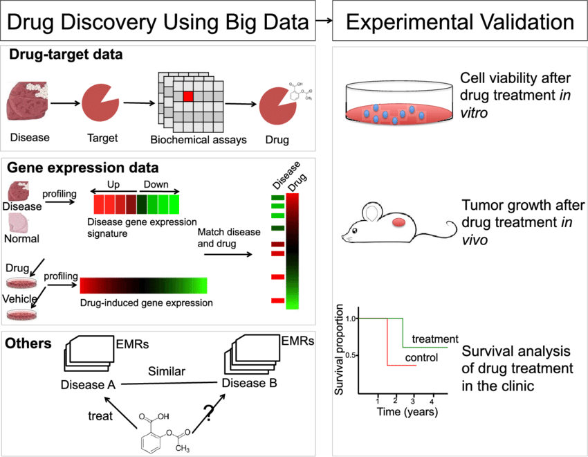 Drug Discovery Using Big Data