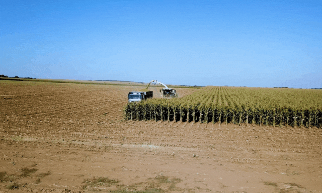 7 Innovative Applications of Computer Vision in Agriculture