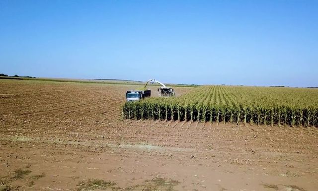 Application of Computer Vision in Agriculture
