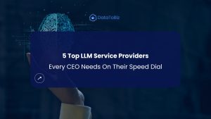 LLM Service Providers