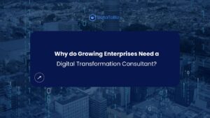 Digital Transformation Consultant - DataToBiz